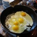 계란후라이 이미지