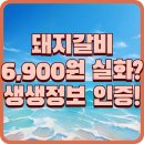 6900 | 생생정보 방영! 광양 조조갈비 가격 파괴 돼지갈비 6,900원 후기