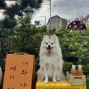 엔젤하우스 이미지