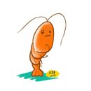 황금왕새우구이 | [대구] 대구 상인동 대하 맛집 &#39;황금 왕새우 조개구이&#39;, 왕새우🦐 파티 솔직후기