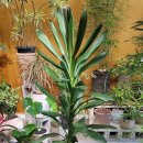 cu원주명륜햇살점 이미지