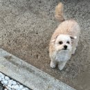 멕시카나 아산탕정점 | 3월 일상 #1 주말 불 태우기🔥