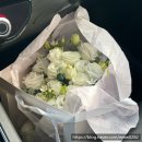 레몬 | 웨딩 스냅_제주 블루레몬 촬영 솔직 후기