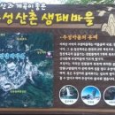 추성산촌생태마을