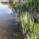 남방낚시터 이미지