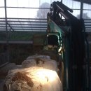 용머리축사 이미지