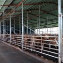 정수축산 이미지