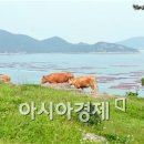 농장축산직거래 이미지