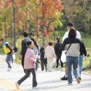 한마음환경 이미지