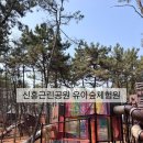 중앙근린공원(3.1공원) | [익산] 신흥근린공원 유아숲체험원