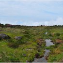 한라산 선작지왓 이미지