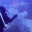 원정 | 서귀포 다이빙 (KUST 동계원정 후기 2)