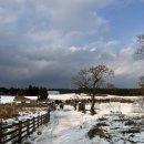 이도목장 | 제주시 여행 겨울 성이시돌목장 우유아이스크림