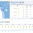 2023년 3월 2일(목요일) 08:00 현재 대한민국 날씨정보 및 기상특보 발표현황 (울릉도, 독도 포함 - 기상청발표) 이미지