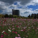 광양커뮤니티센터 이미지