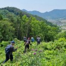 상주산소 이미지