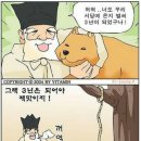 서당개 이미지