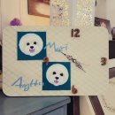 펫, 마리앙뚜 이미지