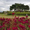 한강시민공원(등수국터널 1) 이미지