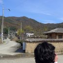 참한우마루 | 111105 _ 성주군 '한개마을' !!!