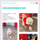 개님살롱 레이크사이드 이미지