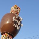 삼일카서비스 이미지