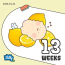 11650-5-57-21 | [임신일기]13주~21주 기록 / 니프티 결과부터 정밀초음파까지👶🏻