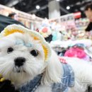 어울리개 이미지