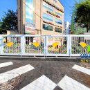 샘모루초등학교 이미지