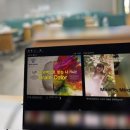 브레인컬러연구소 이미지