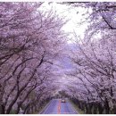 4월15일(일) - 봄날, 그 화려한 날의 외출과 맛집여행 이미지