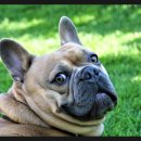 지에스25구미중앙로 이미지