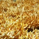 강주농장 이미지