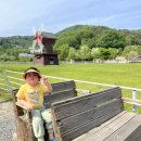쌍둥이목장 | 경기/양평) [양평양떼 목장] 5세 아이, 1세 쌍둥이 내돈내산 리얼 후기