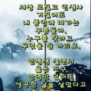만남파크 Daum카페