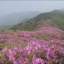 5월 산행지 전북 남원 봉화산(920m) 이미지