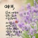 다남공원 이미지