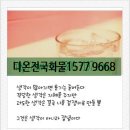 개인화물1577 네이버블로그
