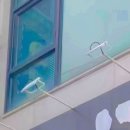 고기장사 꼬기집 이미지