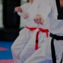 청주대 석사 월드 태권도 이미지