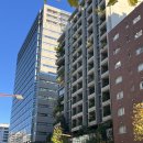 잇텐스시 | [도쿄 3박4일] 4일차 마지막날 니혼바시 하마초호텔 추천 블랑제리 장고 피코크스토어 토모즈 스벅...