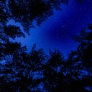 왕피천 숲속 캠핑장 | 왕피천 숲속 캠핑장