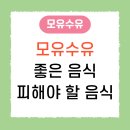 옹골슈퍼 | 모유수유에 좋은 음식 리스트 & 피해야 할 음식 과학적으로 완벽 정리 (산모 추천)