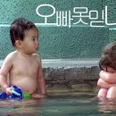 개와고양이 이미지