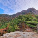 칠석농장 이미지