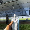 벌말목장 이미지