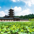 백제문화로 이미지