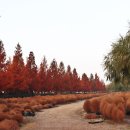 가림이 힐링 이미지