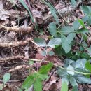 한뿌리농장 이미지