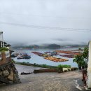 사계절팬션민박 이미지